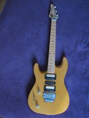 Lâg Custom Shop The Beast LH