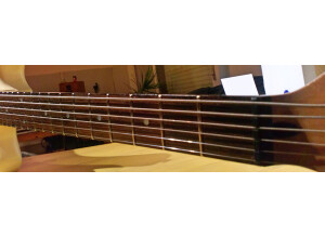 Hohner Custom Edition Hollywood Bass VI (78877)