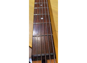 Hohner Custom Edition Hollywood Bass VI (29393)