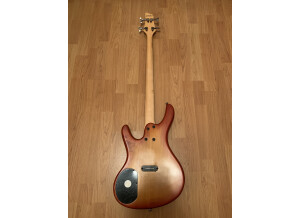 Fender CG-4CE (63408)