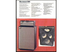Fender Bassman 100 4x12 (Silverface) (71339)