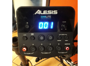 Alesis DM Lite Kit (79000)
