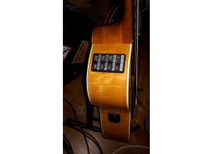 Takamine cordes nylon-