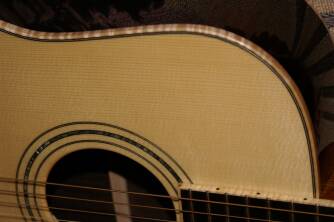 Washburn D82SW