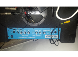 Eden Bass Amplification RS212 Combo (48526)