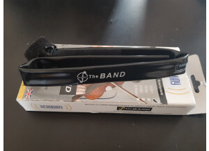 Headway Music Audio The Band Viola (62470)