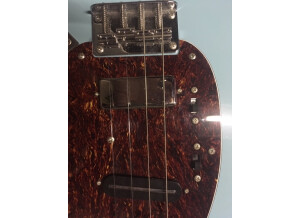 Eastwood Guitars Warren Ellis Signature Tenor 2P (25608)