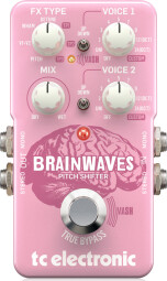 brainwaves-Front brainwaves-Front