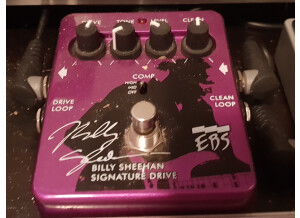 EBS Billy Sheehan Signature Drive (97668)