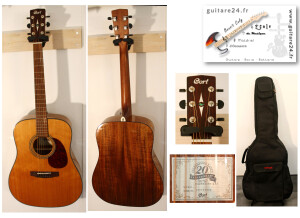 FOLK - Cort Earth20Th