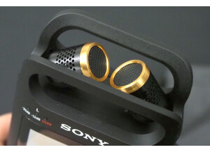 Sony Sony PCM-D10 (60729)