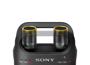 Sony Sony PCM-D10 (40506)