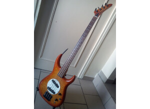 Aria Pro II Pro II the cat bass series (89689)