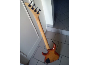 Aria Pro II Pro II the cat bass series (77267)