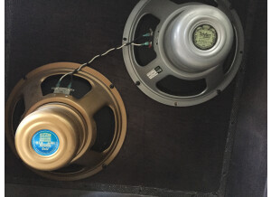 Mesa Boogie TransAtlantic TA-15 Head (2515)