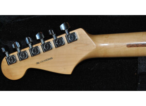 Fender American Professional Stratocaster (96100)