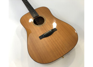 Fender ESD-10 E (94825)
