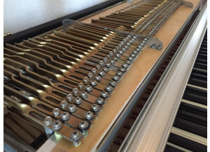 Fender Rhodes Mark I Stage Piano (39277)