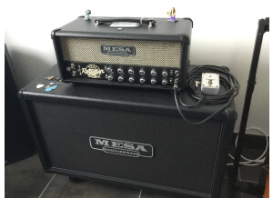 Mesa Boogie Recto-Verb 25 Head - Cream & Black (52222)