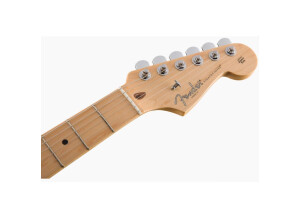 Fender American Professional Stratocaster (48758)