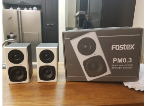 Fostex PM0.3