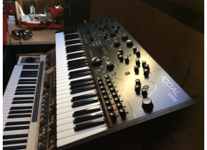 John Bowen Synth Design Solaris (37411)