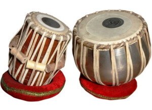 Precision Sound Indian Harmonium (41489)
