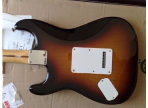 Roland GC-1 GK-Ready Stratocaster (22902)