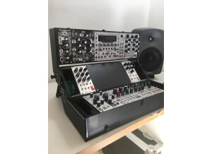 Tiptop Audio Station 252 (57772)