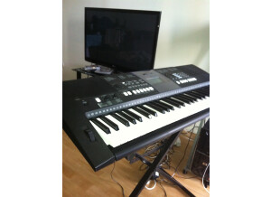 Yamaha PSR-E423 (1610)