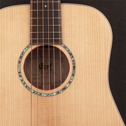 Gold-MINI_500px(3) Gold-MINI_500px(3)