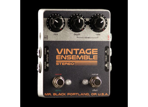 Mr. Black Vintage Ensemble Stereo Chorus/Vibrato