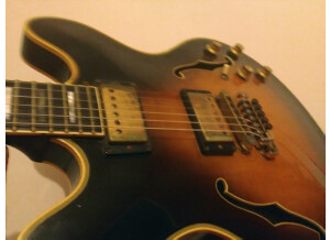 Gibson ES-335 TD (39598)