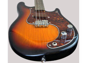 Fender Mando-Strat (42930)