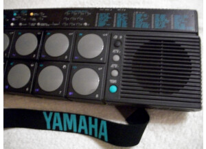 Yamaha DD-10 (3902)