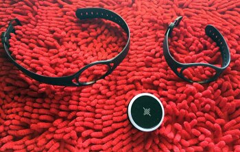 Pulse-Straps Pulse-Straps
