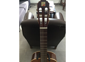 Alhambra Guitars 2C (4631)