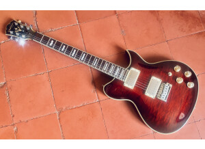 Washburn WI66V (93455)