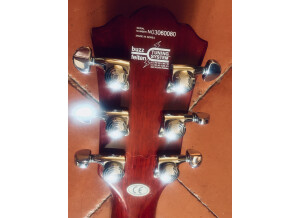 Washburn WI66V (92500)