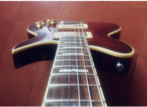 Washburn WI66V (10844)