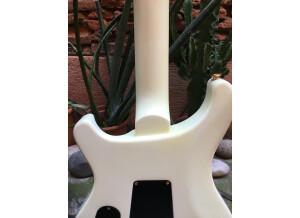 PRS Dave Navarro Model - Jet White (55006)