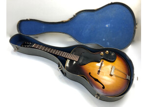 Gibson ES-120T (25061)