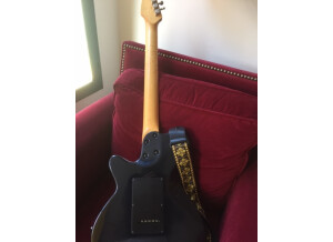 Godin SD Rosewood (15650)