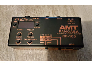 Amt Electronics Pangea CP-100 (3969)