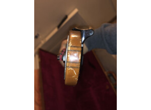 Gibson thunderbird 4