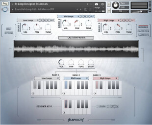 NVE_Interface_Loops