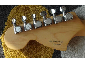 Fender Deluxe Roadhouse Stratocaster [2007-2013] (59950)
