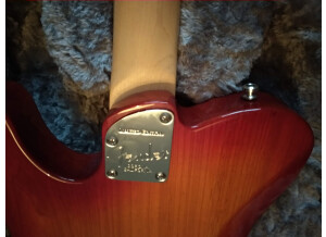Fender American Elite Telecaster (91977)