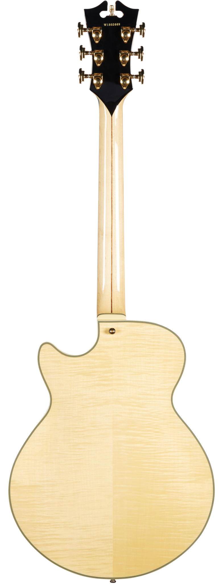 DAESSNATGSCBE-0025-WR1