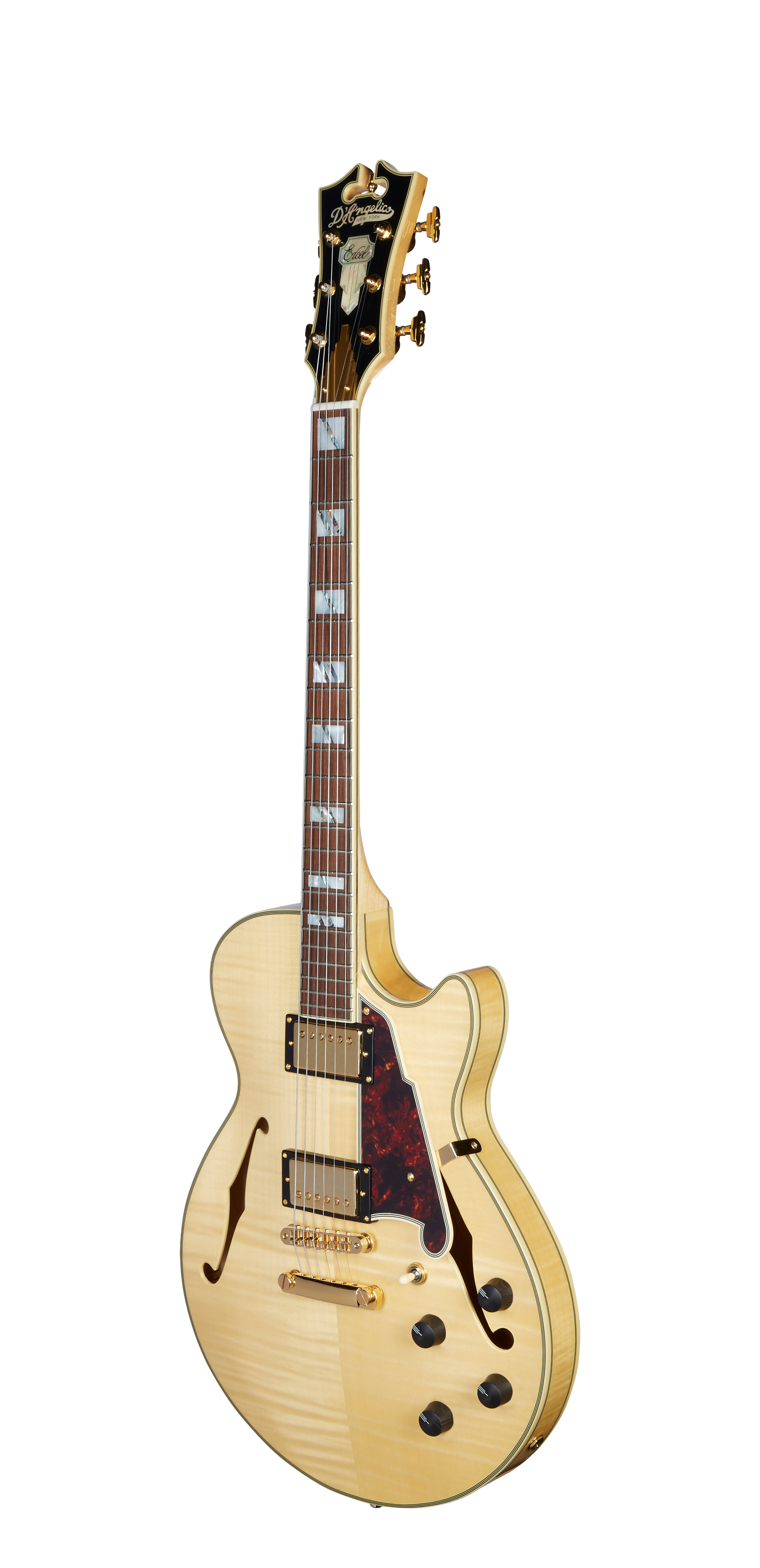 DAESSNATGSCBE-0025-FA1